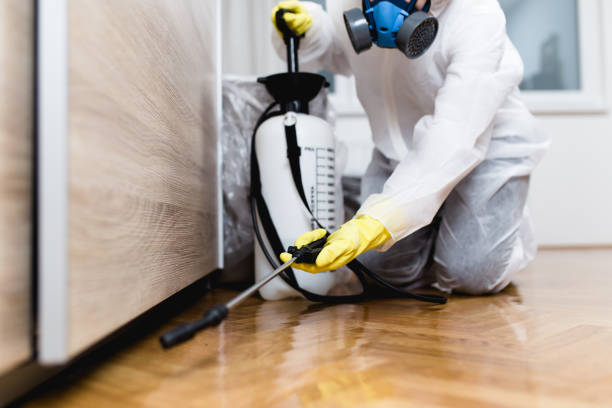 Best Best Pest Control Companies  in Conway, AR