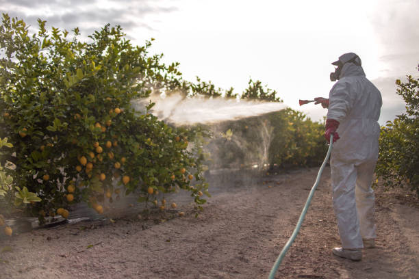 Best Commercial Pest Control Services  in Conway, AR