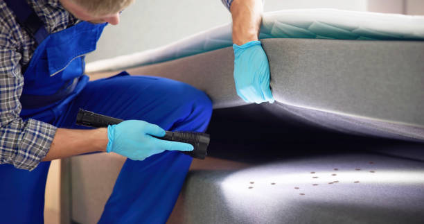 Best Bed Bug Extermination  in Conway, AR